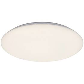 LED stropné svietidlo Rabalux Rorik 71125 (71125) biele