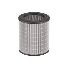 Filter Rowenta XD6280F0