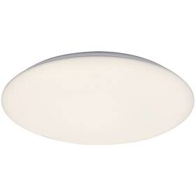 LED stropné svietidlo Rabalux Rorik 71123 (71123) biele