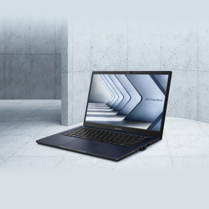 Asus ExpertBook B1