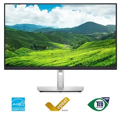 Dell Professional P2222H