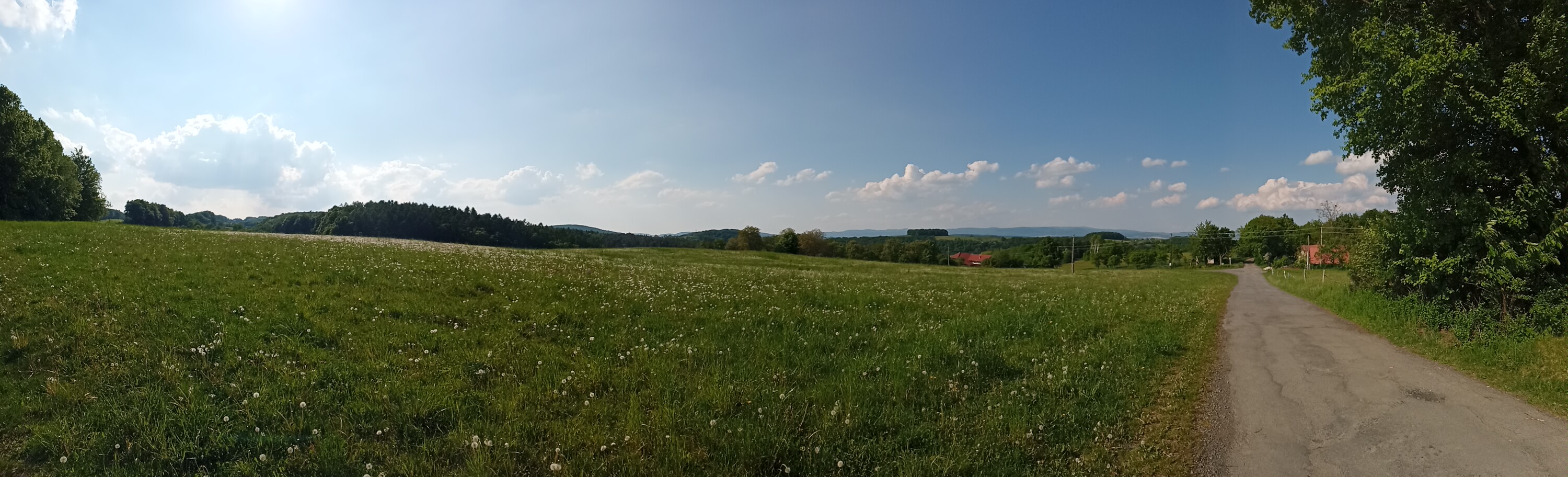 Panorama