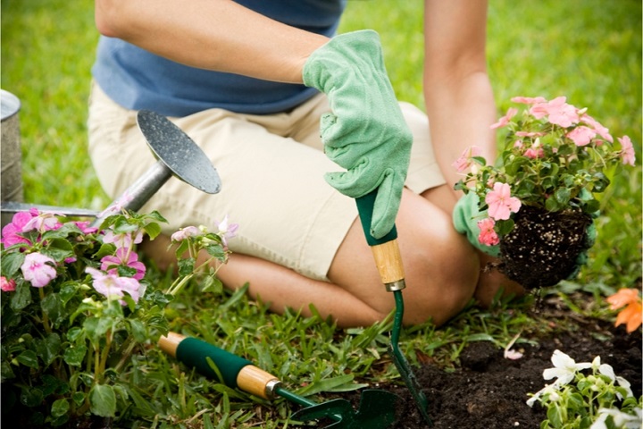 Jarné práce na záhrade: Najlepšie tipy pre záhradkárov